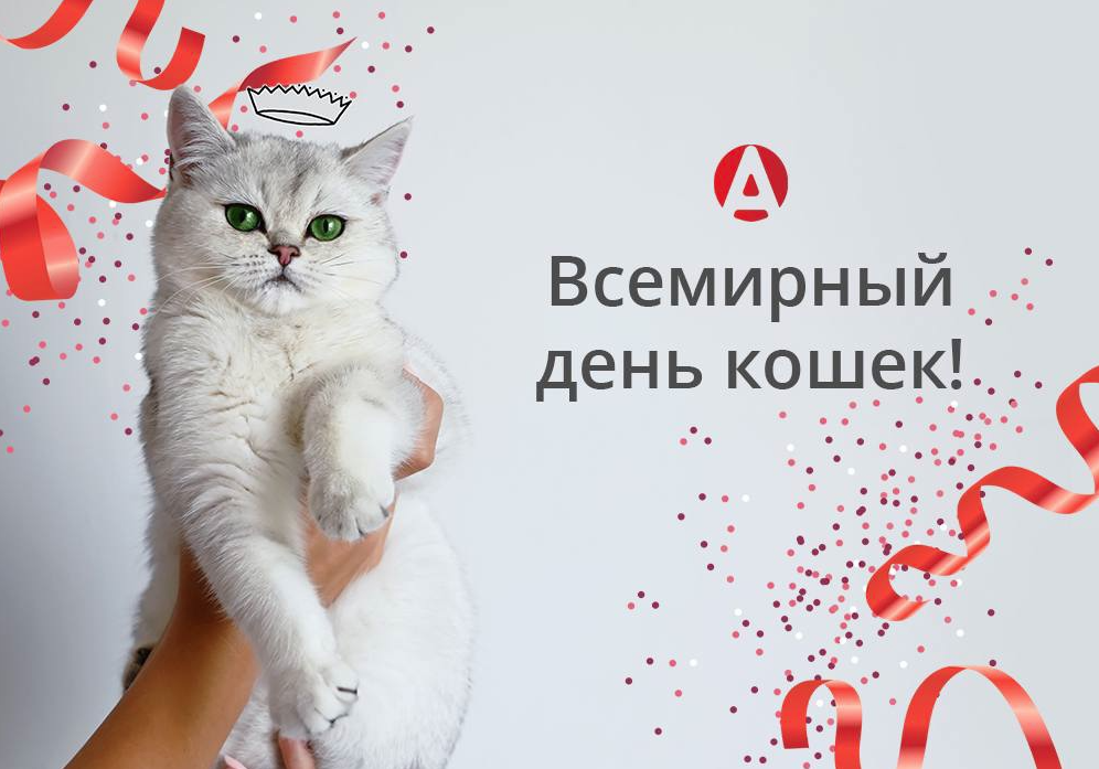 День кошек февраль. Всемирный день кошек. Всемирный день кошек 8 августа. Международный день Коше. Всемирный день кошек открытки.