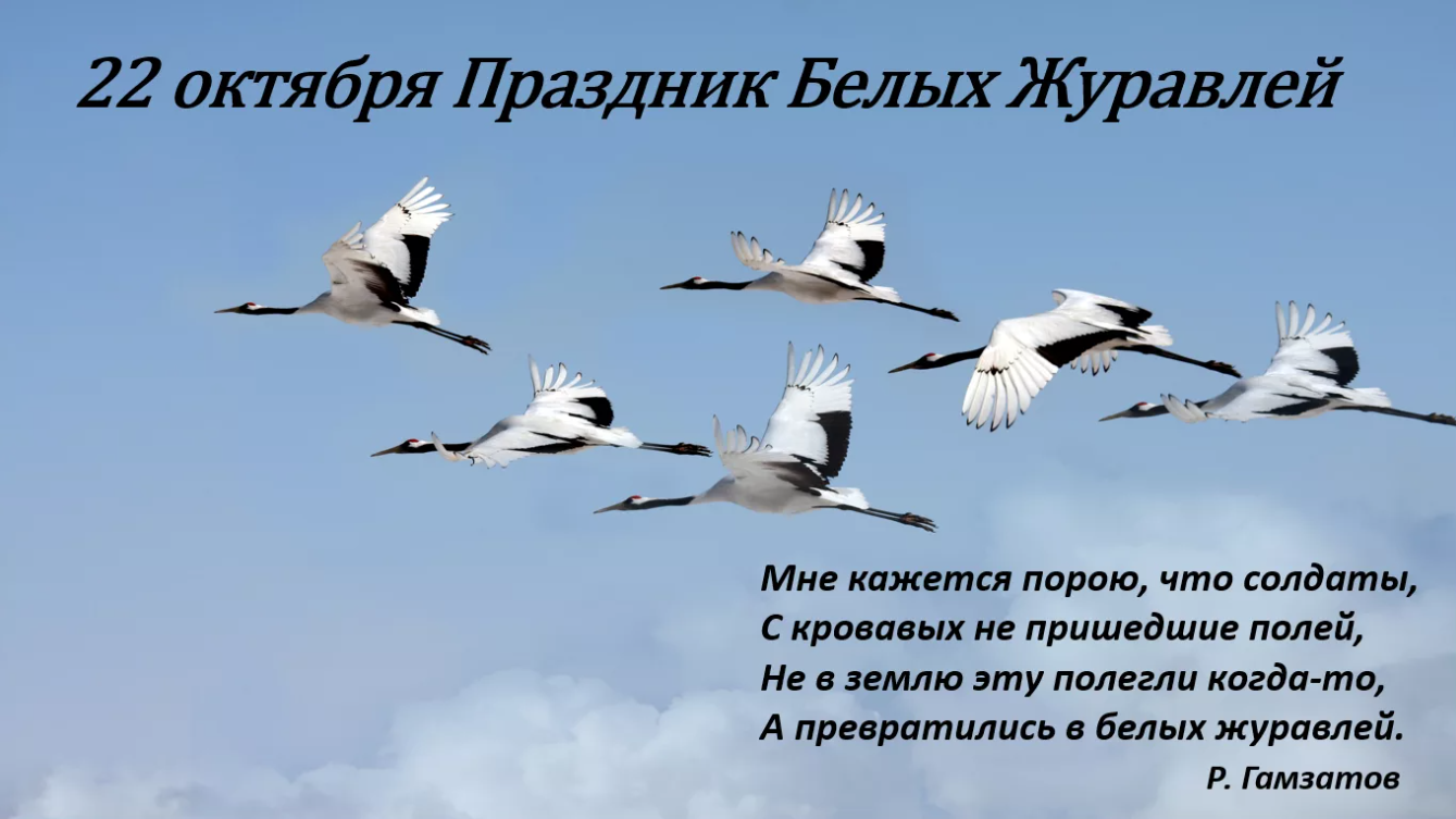 22 Октября праздник белых журавлей. 22 Октября литературный праздник день белых журавлей. Белые Журавли 22 октября. Акция белые Журавли 22 октября.